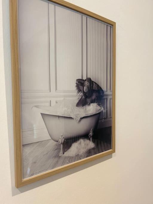 Le Nid Douillet Nanceien Apartment Nancy Luaran gambar