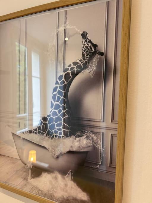 Le Nid Douillet Nanceien Apartment Nancy Luaran gambar